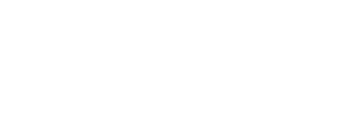 Salesforce Partner