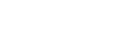 Salesforce Partner