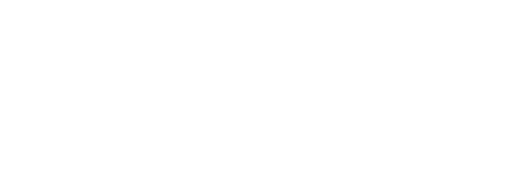 Salesforce Partner