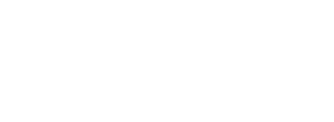 Salesforce Partner